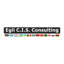 Egli C.I.S. Consulting